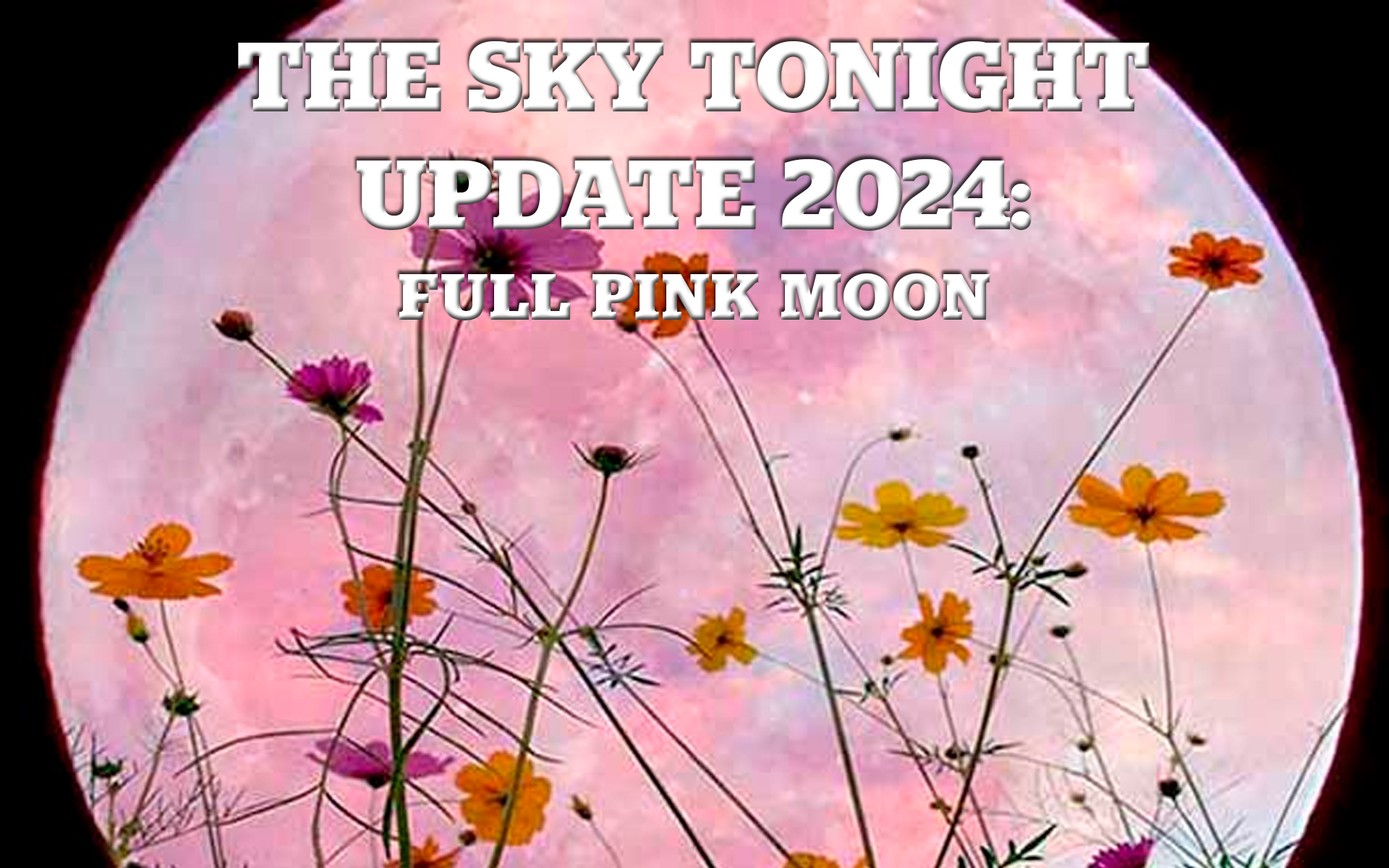 The Sky Tonight Update: Full Pink Moon